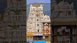 Tirupati Free Darshan 3 மணி நேரத்தில் இலவச தரிசனம் | SSD Token | Tirupati Temple #shorts #tirupathi