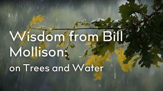 Mollison on Trees and Water