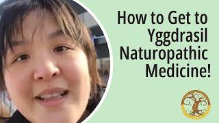 How to Get to Yggdrasil Naturopathic Medicine!