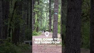 Welcome to the woods of Washington #DiscGolf #OTBDiscs