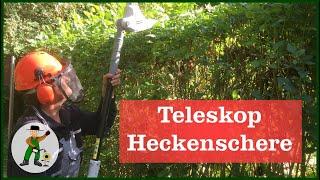 Die IKRA Teleskop Heckenschere - Unsere Erfahrungen