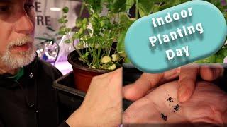 Starting Seeds Indoors | Seedling Updates