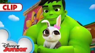 Hulk's Bunny | Marvel's Spidey and his Amazing Friends | @disneyjr