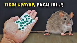 Ternyata cuma begini, rumah aman dari TIKUS SELAMANYA !! Ramuan Pengusir Tikus