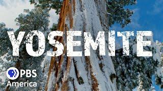 Yosemite: The Great Wilderness. (Full Special) | Nature | PBS America