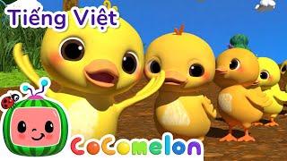 Mười Chú Vịt Con - CoComelon | Vietnamese Kids Songs | Phim hoạt hình