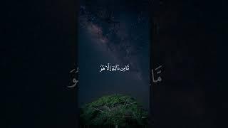Beautiful Recitation ️ #quran #quranrecitation