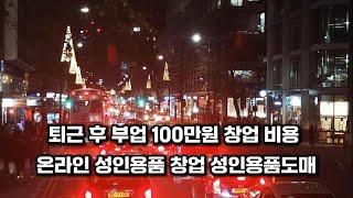 퇴근 후 부업 100만원 창업 비용 온라인 성인용품 창업 성인용품도매