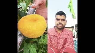 #fruit #carvingfruit #satisfying #fruitcarvingorange #fruitcutting #fruitcarvingwatermelon