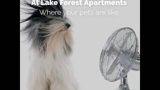 Lake Forest Apartments, NE Grand Rapids, MI 49525