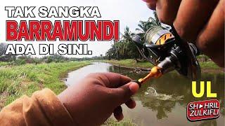 BETUL ADA IKAN SIAKAP LIAR (WILD BARRAMUNDI) DI TALI AIR