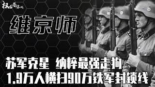 「二战德军三大精锐」希特勒王牌“死士”，苏联军神朱可夫的噩梦，三年间，2530次战斗任务，让1000辆装甲车和70艘舰艇归为虚无，横扫欧洲无人能敌