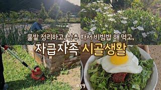 sub)self-sufficient country life! harvesting lettuce &make bibimbap, picking sprouts &small fruits