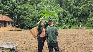 The rain and the unexpected gift- Kind man helps giang nga and Phong loosen the garden soil.