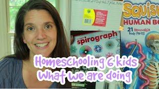 Homeschooling 6 kids and what we are doing this year