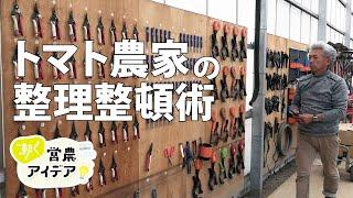 ［動く営農アイデア］トマト農家の整理整頓術　木製ボードに道具ずらり