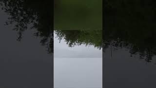 Ходил за рыбой я в гастроном, пока не познакомился с бывалым рыбаком. #russianfishing.