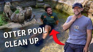 OTTER POOL CLEAN AT HERTFORDSHIRE ZOO 