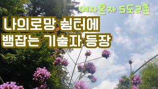 50대1인가구/뱀잡는 기술자 등장/ 나의로망 쉼터/5도2촌