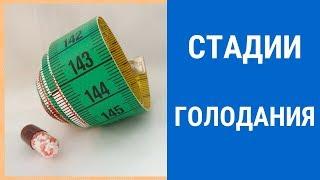 Голод.  Стадии голодания.  Что будет если перестать есть