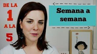 PRIMEROS SINTOMAS de EMBARAZO -  PRIMER MES  | SEMANAS (1-5)