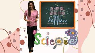 What’s in my channel | Science Teaching and Learning 