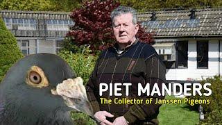 The Pigeon Collector of the Janssen Brothers from Arendonk - PIET MANDERS