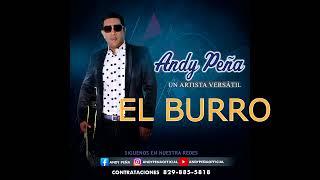 Andy Peña - El burro - 2022   Cantante original -Rompiendo tarima.