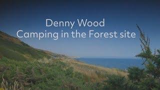 Denny Wood Camping in the Forest site