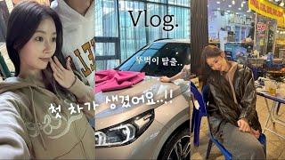 (SUB) ’첫 차 뽑고 소래포구가서 대하 먹는 일상 vlog' | My first new car | 홍보각 | 한방통닭 | 뽀서네랑 소래포구