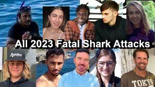 All 2023 Fatal Shark Attacks