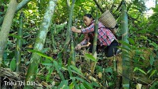 FULL VIDEO: 150 days of harvesting taro, bamboo shoots, fish, sweet potatoes to sell at the market