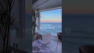바다와 5초 거리, 가성비 끝판왕 오션뷰 숙소 #오션뷰 #바다뷰 #숙소