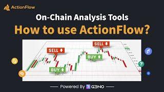 On-Chain Analysis Tools | How to use ActionFlow?