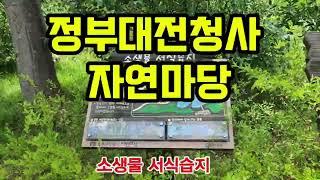 정부대전청사 자연마당 소생물 서식습지 가보자 #대전정부청사 #여행 #습지