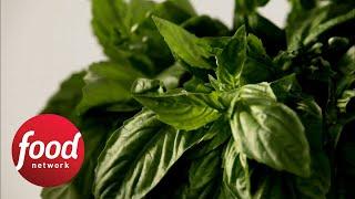 How to Chiffonade Cut Herbs | Food Network