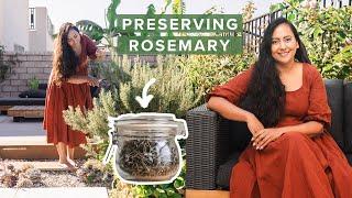 Rosemary: The Ultimate Guide to Harvesting, Pruning And Preserving