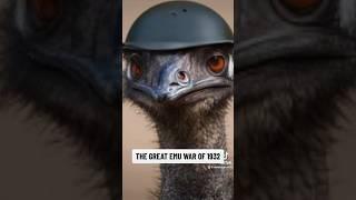 When the Australian military lost a war to giant birds… #history #funny #truestory #shortstories