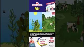 Air | Learn Biology with Home Revise