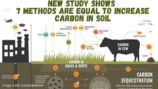 Studies Found 7 Ways to Sequester Carbon are Equal in Regenerative Agriculture