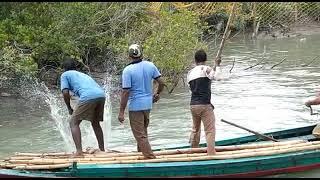 SUNDARBAN TIGER ATTACK TO FOREST DEPARTMENT BOAT || 2021