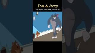 Tom Berlatih Keras Agar bisa Mengalahkan Jerry