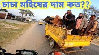 চাচা মহিষের দাম কত ?? MY FIRST MOTO VLOG | JESTER MH SUMON