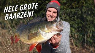 WAT WIJ VANGEN IS BIZAR!! - 2.7kg+ BAARS! Vissen op GROTE BAARZEN & UITLEG