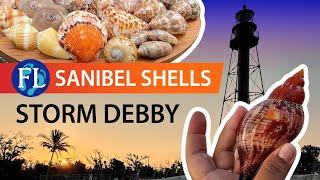 Sanibel Lighthouse Storm Shells: Tropical Storm Debby