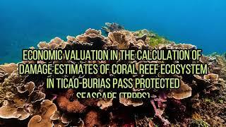 Economic Valuation in Ticao-Burias Pass Protected Seascape [special project] - AVP