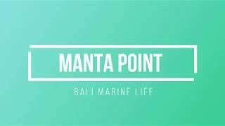 Manta Point - Diving with Mantas - Nusa Penida