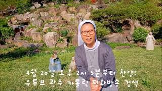 #광주 가톨릭 평화방송, 보이는 라디오 생중계, #풀잎수녀, #김연희마리아 수녀, 음반 4집 공개, #cpbc 빵,