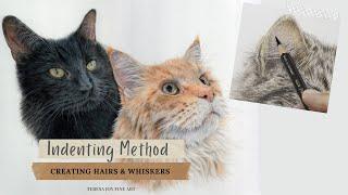 Creating Hairs, Whiskers and Texture in Fur with the Indenting or Embossing Method - Coloured Pencil
