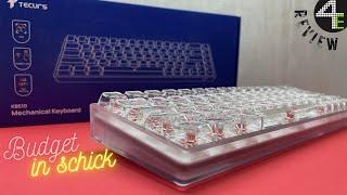 Tecurs KB510 Keyboard Review | Transparente Gaming Tastatur für maximale RGB Beleuchtung.